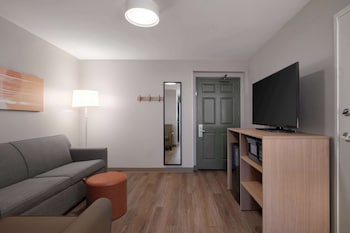 Suite, 1 King Bed with Sofa bed