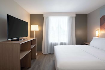 Suite, 1 King Bed with Sofa bed