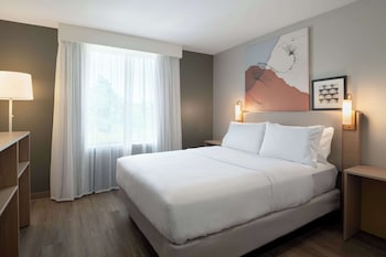 Suite, 1 King Bed with Sofa bed