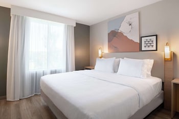 Suite, 1 King Bed with Sofa bed