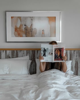 Room, 1 King Bed