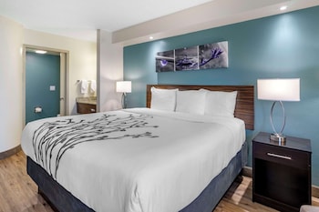 Standard Room, 1 King Bed, Non Smoking