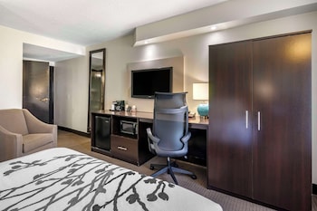 Room, 1 Queen Bed, Accessible, Non Smoking