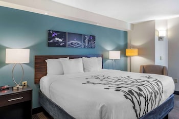 Suite, 1 King Bed with Sofa bed, Non Smoking