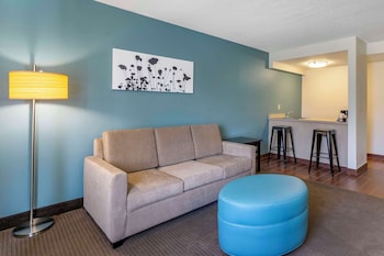 Suite, 1 King Bed with Sofa bed, Non Smoking