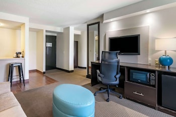 Suite, 1 King Bed with Sofa bed, Non Smoking