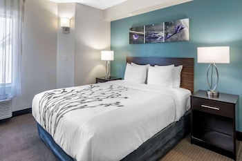 Room, 1 Queen Bed, Accessible, Non Smoking
