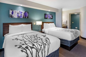 Standard Double Room, 2 Double Beds, Non Smoking