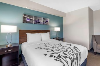 Room, 1 Queen Bed, Accessible, Non Smoking