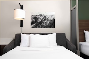 Room, 1 King Bed, Accessible, Bathtub