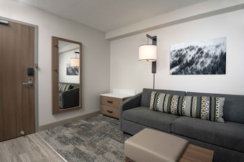 Room, 1 King Bed, Accessible, Bathtub