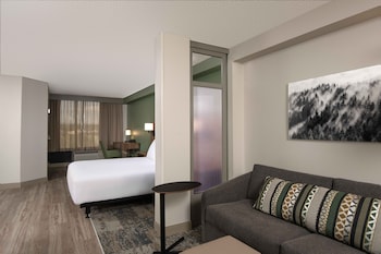 Room, 1 King Bed, Accessible, Bathtub