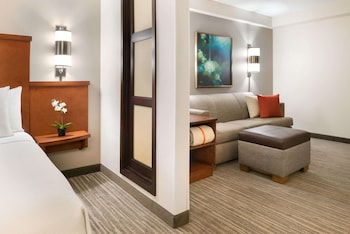Room, 1 King Bed, Accessible, Bathtub