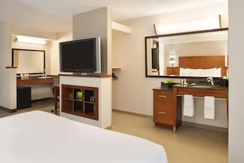 Room, 1 King Bed, Accessible, Bathtub