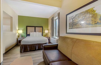 Deluxe Studio, 1 Queen Bed with Sofa bed, Non Smoking