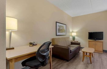 Deluxe Studio, Multiple Beds, Non Smoking