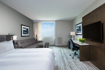 Room, 1 King Bed with Sofa bed