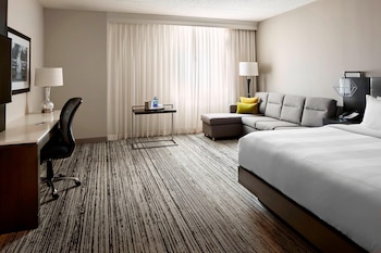 Room, 1 King Bed with Sofa bed