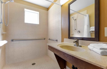 Deluxe Studio, 1 King Bed with Sofa bed, Accessible, Non Smoking