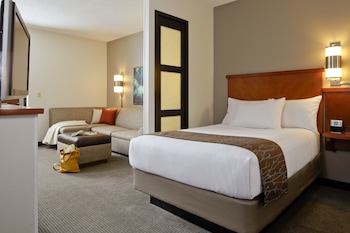 Standard Room, 1 King Bed with Sofa bed