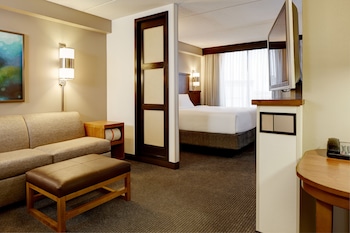 Standard Room, 1 King Bed with Sofa bed