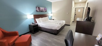 Standard Room, 1 King Bed, Non Smoking