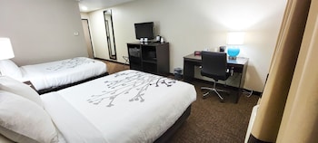 Room, 2 Double Beds, Accessible, Non Smoking