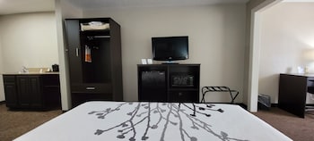 Suite, 1 King Bed with Sofa bed, Non Smoking