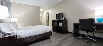 Standard Room, 1 King Bed, Non Smoking