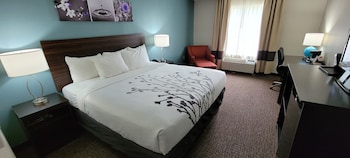 Standard Room, 1 King Bed, Non Smoking