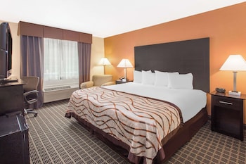 Standard Room, 1 King Bed