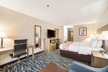 Standard Room, 1 King Bed, Non Smoking