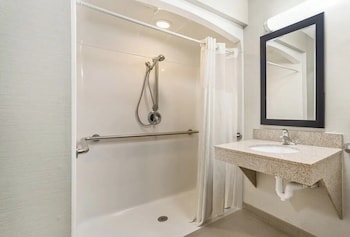 Room, 1 King Bed, Accessible, Non Smoking (Roll-In Shower)
