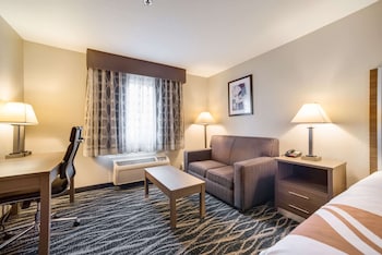 Room, 1 King Bed with Sofa bed, Non Smoking