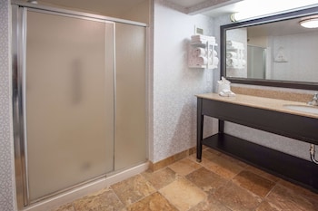 One King One Bedroom Suite Nonsmoking