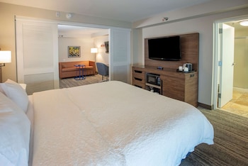 One King One Bedroom Suite Nonsmoking