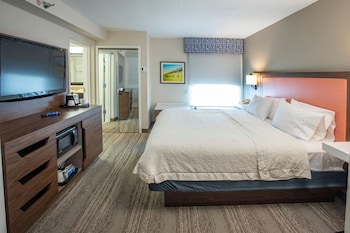 One King One Bedroom Suite Nonsmoking