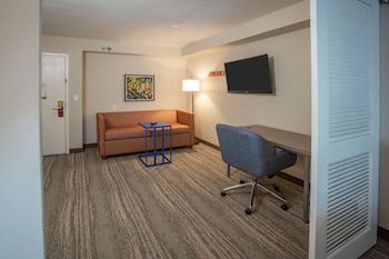 One King One Bedroom Suite Nonsmoking
