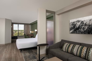 Room, 1 King Bed, Accessible, Bathtub