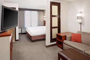 Room, 1 King Bed, Accessible, Bathtub