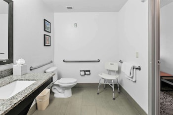 Standard Room, 1 King Bed, Accessible, Non Smoking