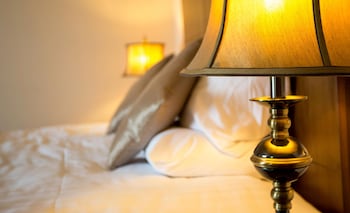 Single Room, 1 Twin Bed
