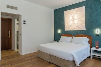 Double Room Single Use