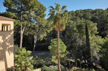 Superior Room, 1 King Bed, Resort View